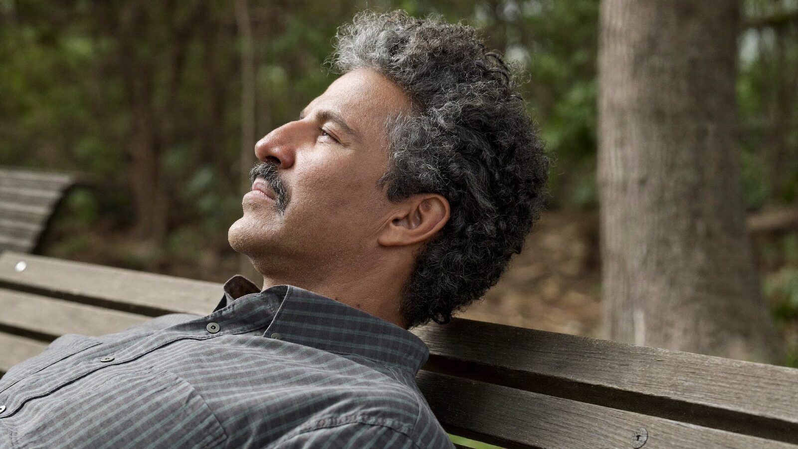 Man with full gray curly hair relaxing on a park bench